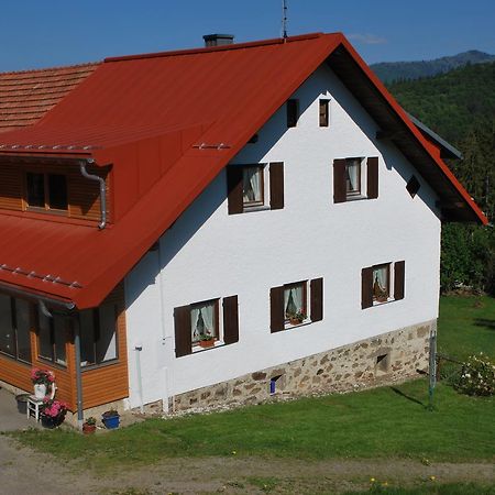 Ferienhaus "Lisa'S Haeusl" Neuschoenau Exterior photo