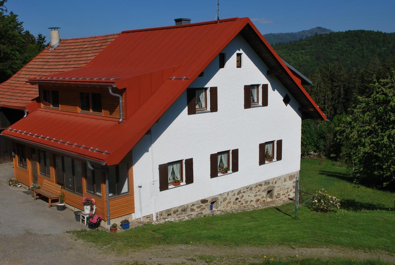 Ferienhaus "Lisa'S Haeusl" Neuschoenau Exterior photo